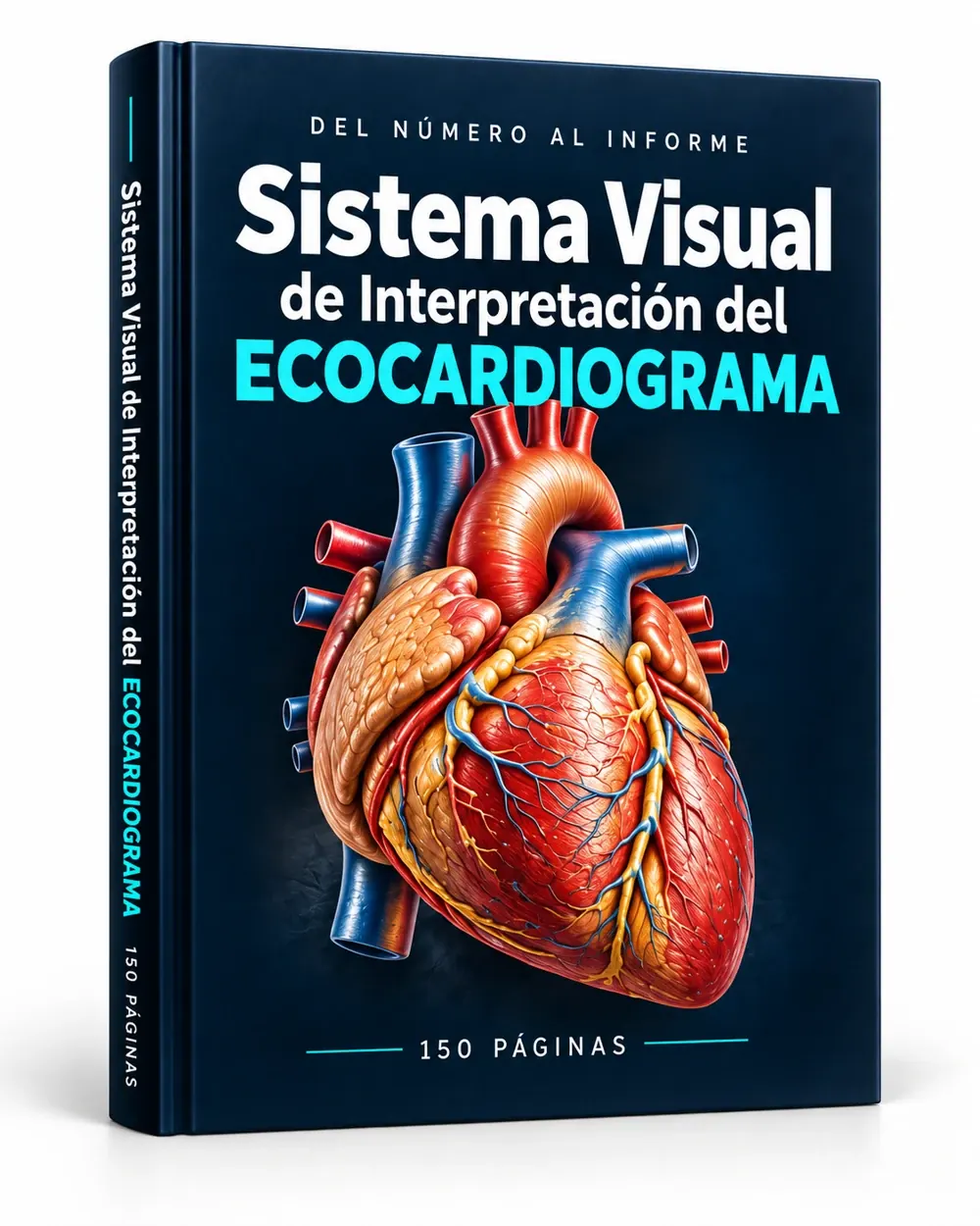 Mockup del PDF: Sistema Visual de Interpretación del Ecocardiograma