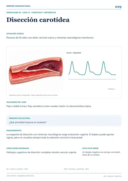 Muestra de casos de Doppler vascular